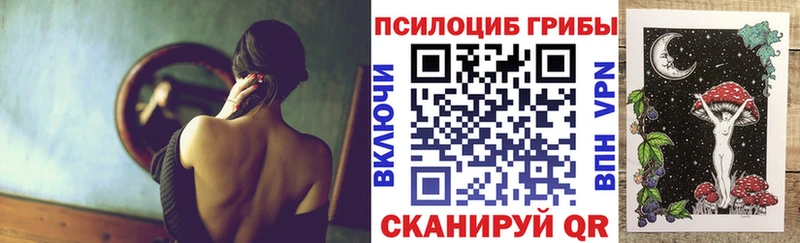 Псилоцибиновые грибы мицелий  Купить  Нерюнгри 